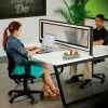 Interion By Global Industrial Interion® Translucent Partition For Double Collaboration Desk -Server & Expediter Supplies Sales 694860