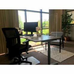 Ghent Desktop Protection Screen - Freestanding 24"W x 24"H, Frosted Thermoplastic -Server & Expediter Supplies Sales DPSF2424 F 2